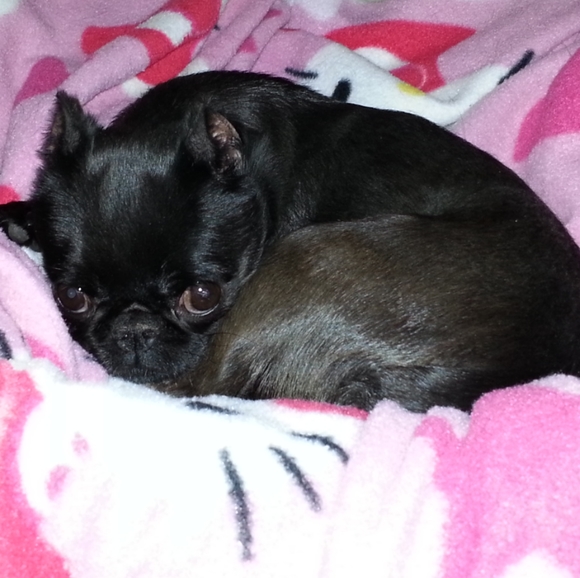 Meet your Posher, Katie - Picture 5 of 7